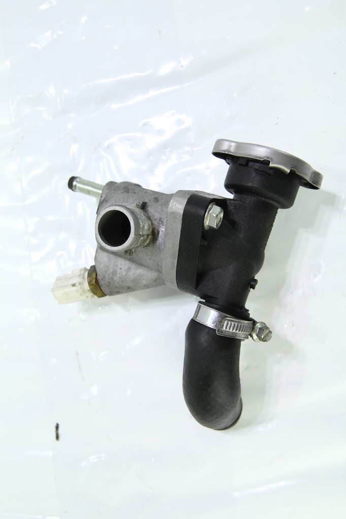 SUZUKI GSX 250 R 17-20 TERMOSTAT Product image