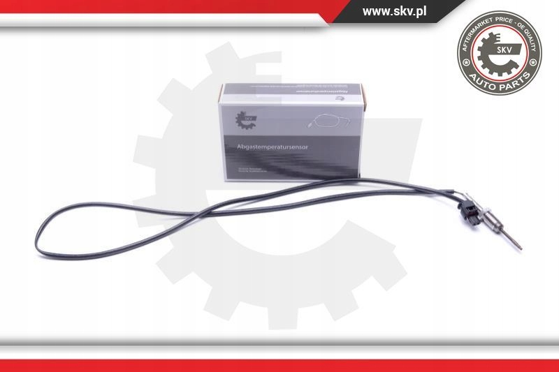 SENSOR TEMPERATURA ESCAPAR 30SKV437 ESEN SKV BMW 3 Product image