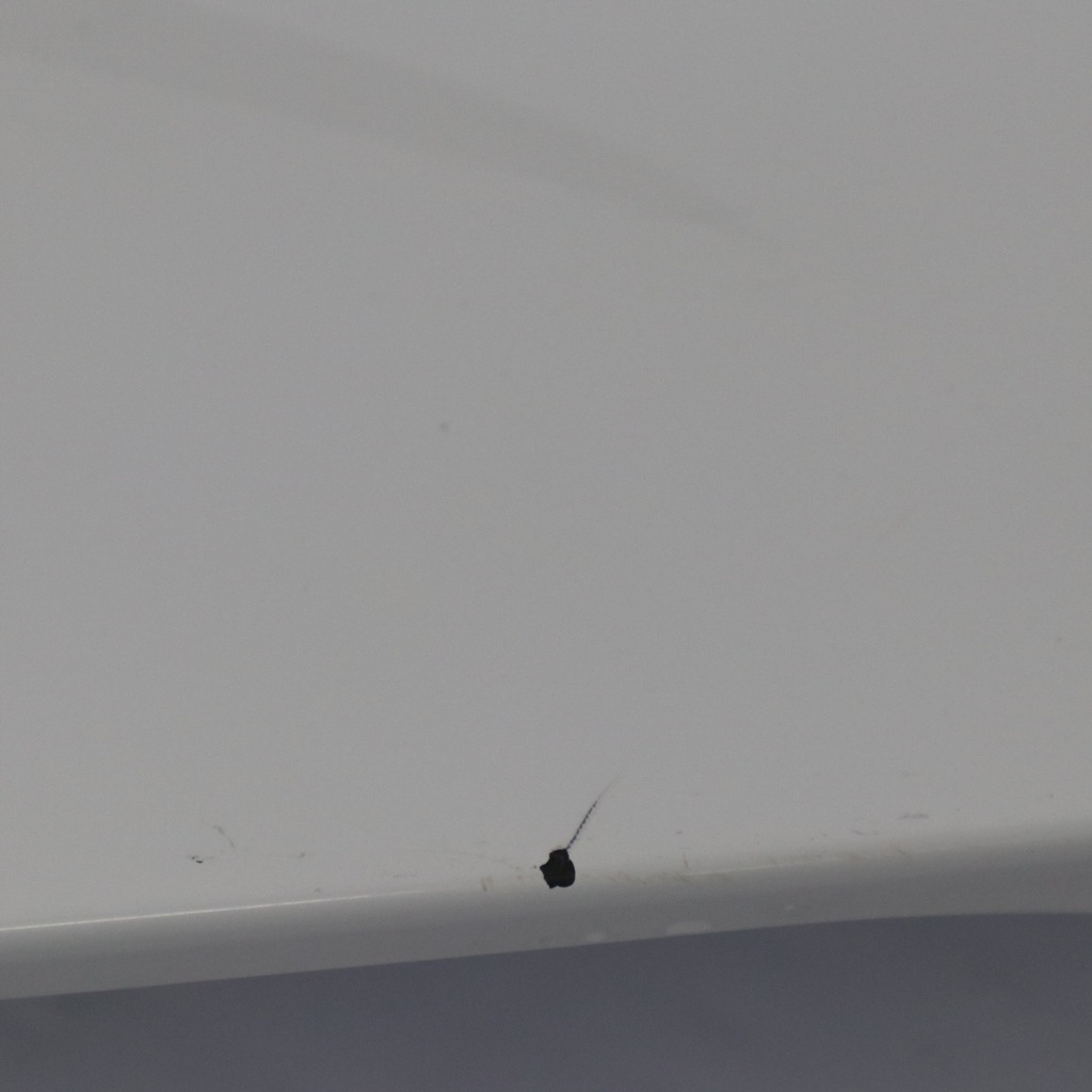 Lumina spoiler capac portbagaj spate Mini Countryman R60 alb - B15 9811626 Product image