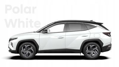 HYUNDAI TUCSON IV 4 21r MÂNER EXTERIOR STÂNGA SPATE Product image
