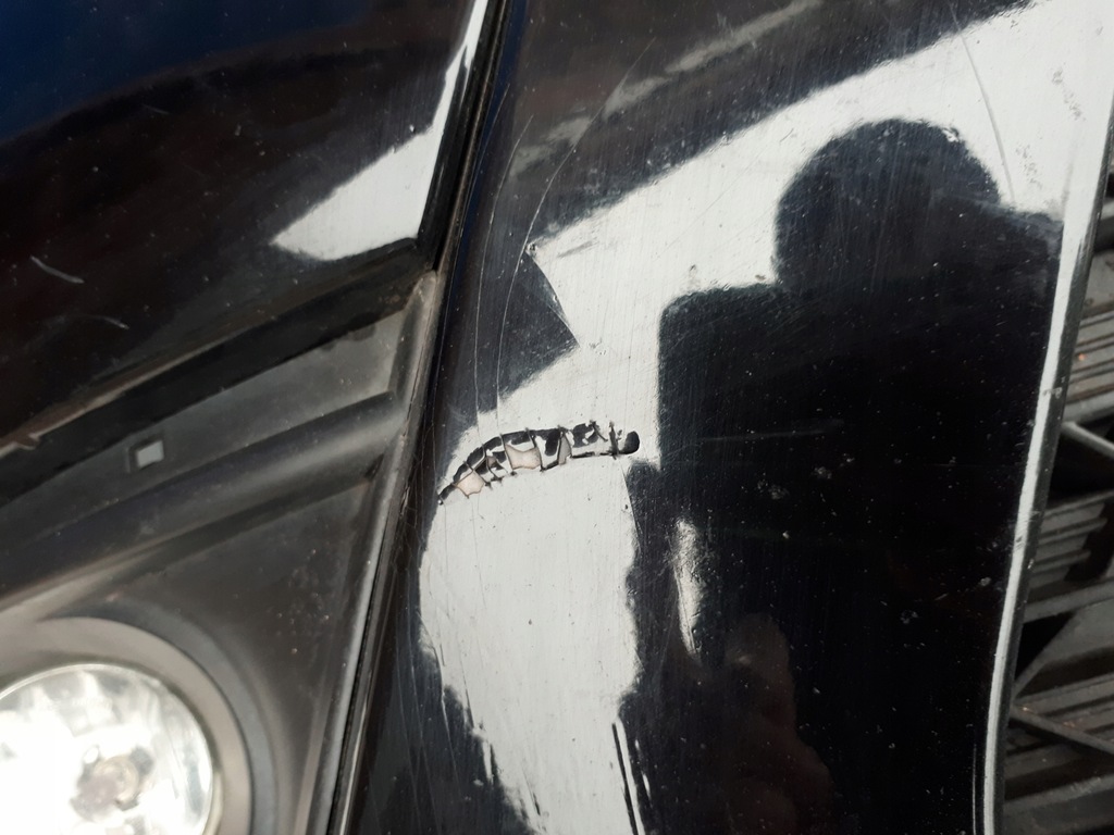CITROEN C4 PICASSO 06-10 GRILA BAREI DE PROTECȚIE FAȚĂ Product image