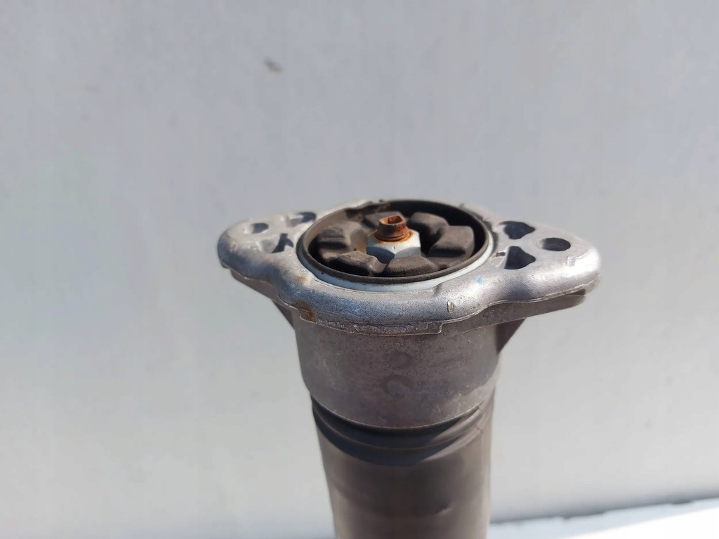 Amortizor Mercedes-Benz E C207 W207 spate stanga spate Product image
