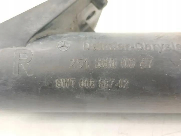 2518600647 MERCEDES-BENZ Spalator far dreapta Product image