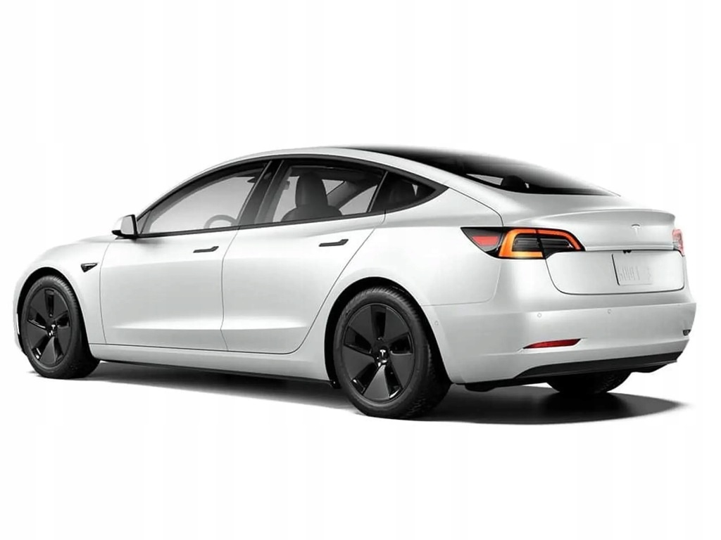 SUPORT MOTOR TESLA MODEL Y 2023 PAW PILLOW 1093278-00-B Product image