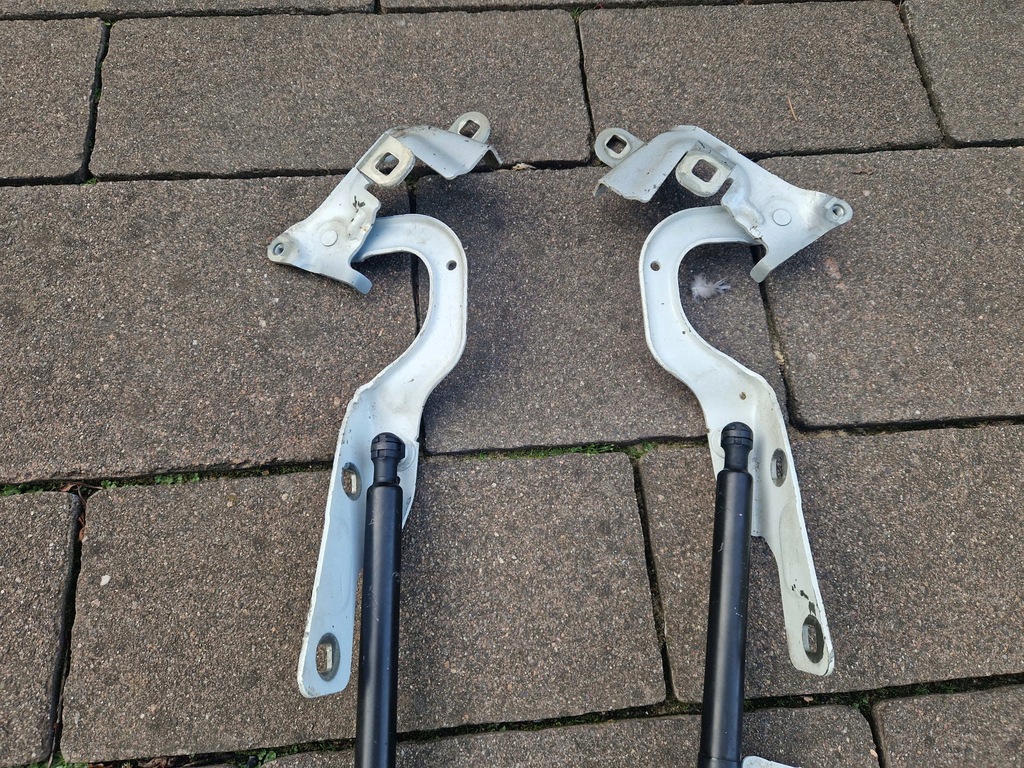 Captur și balamale Brackets Mask Cilindri 654011593R 654001377R 13-2019 Product image