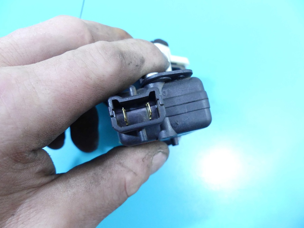 MÂNER BUN SPATE RENAULT THALIA II Product image