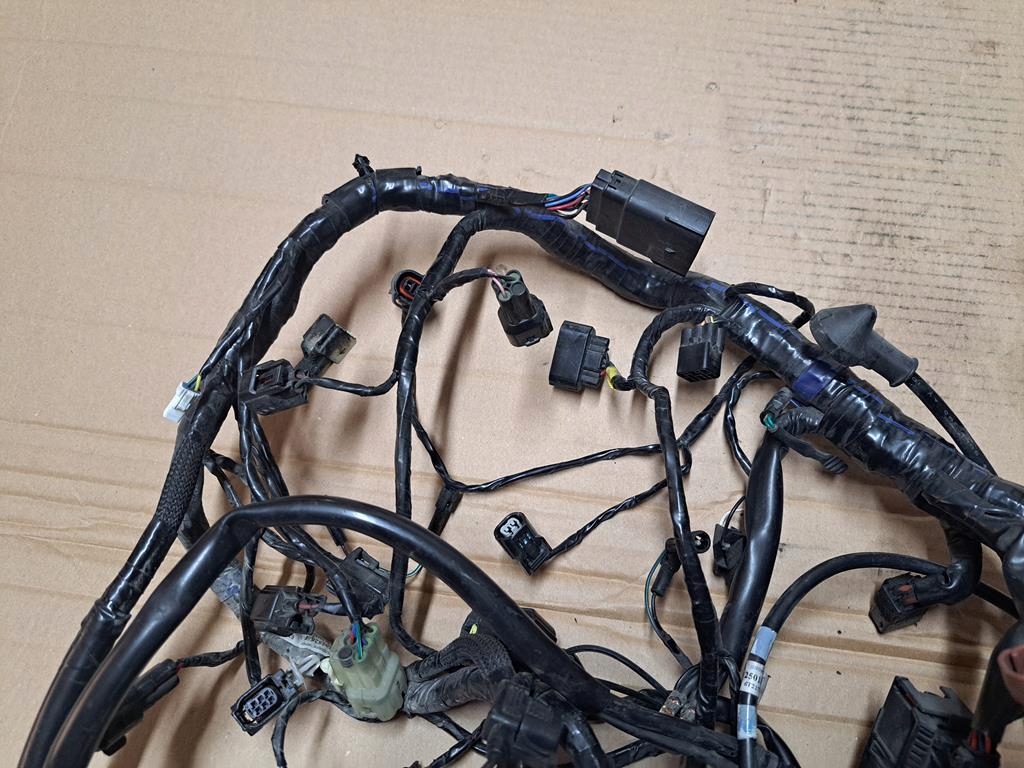 HAMABUL ELECTRIC TRIUMPH SPEED TRIPLE 1050 RS 18-20R Product image