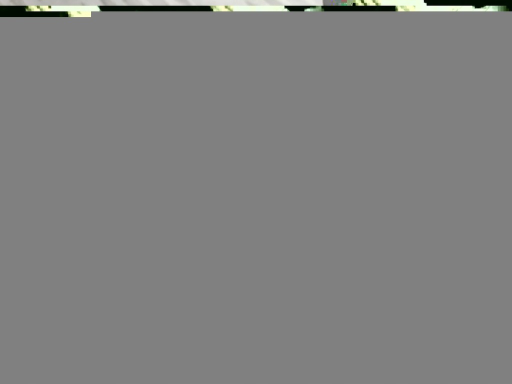 DEBITOR DE AER HYUNDAI GETZ 1.5 CRDI Product image