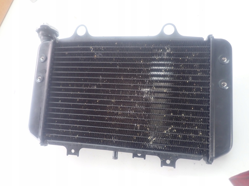 Radiator BMW G310GS G310R K02 K03 8558350 Product image