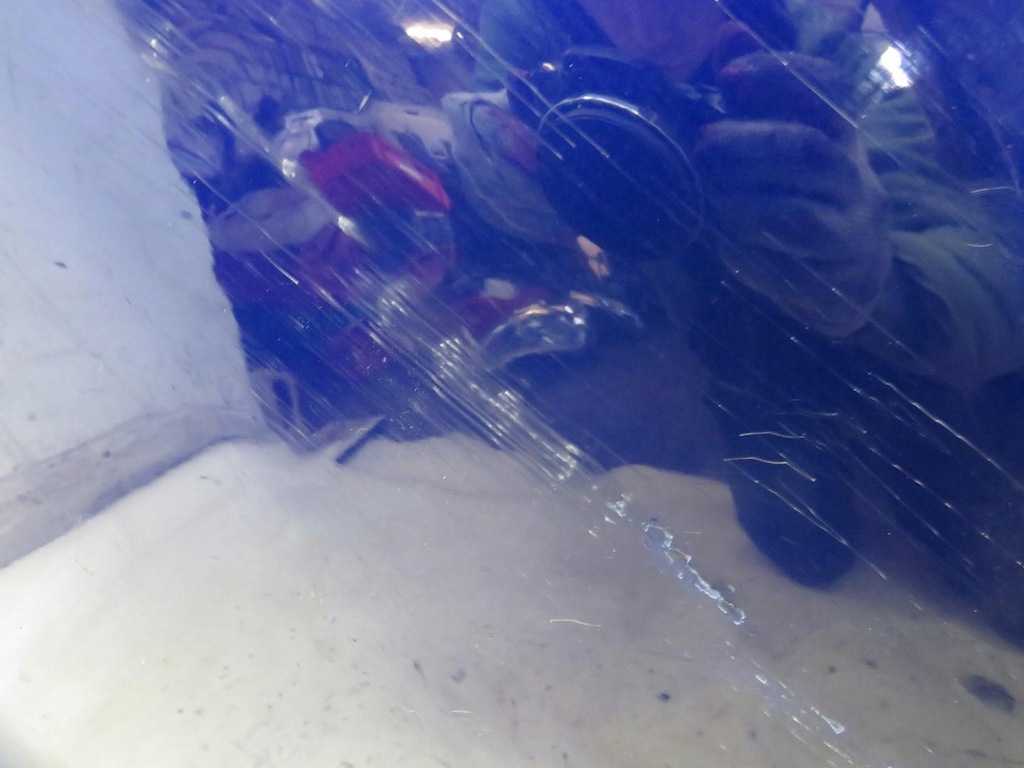 UȘA STANGA SPATE 2H FORD FIESTA MK8 Product image