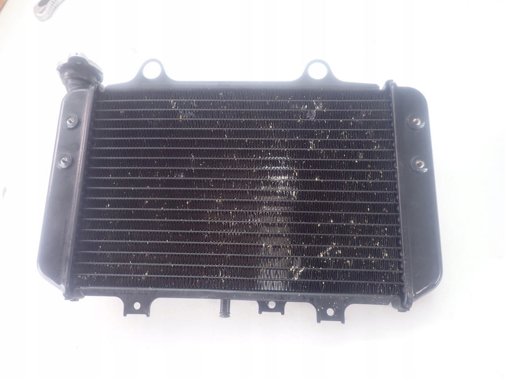 Radiator BMW G310GS G310R K02 K03 8558350 Product image