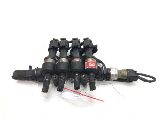 INJECTOR GPL 110R-000005 INJECTIE GAZ, GAZ