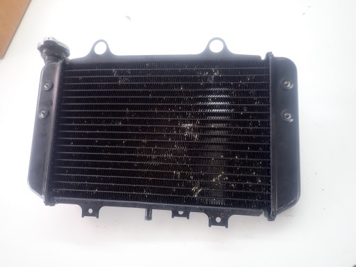 Radiator BMW G310GS G310R K02 K03 8558350