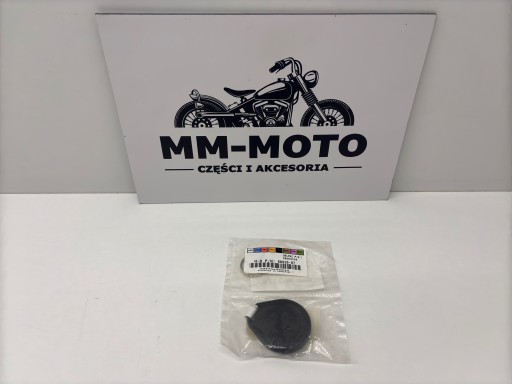 Harley Davidson ALARM REMOTE FOB Hands Free