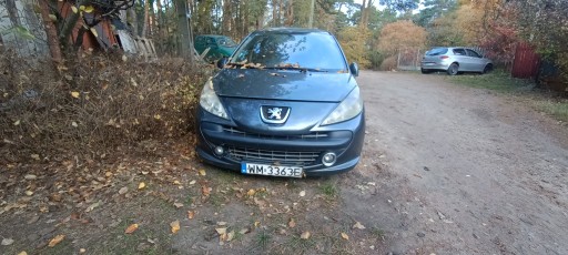 Fenders LP fără a picta Peugeot 207 din 2007